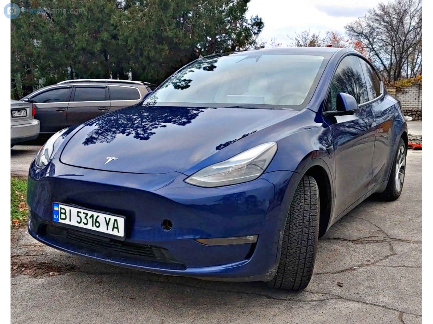BI 5316 YA, Tesla Model Y 1st gen (5YJY), 2020–2025