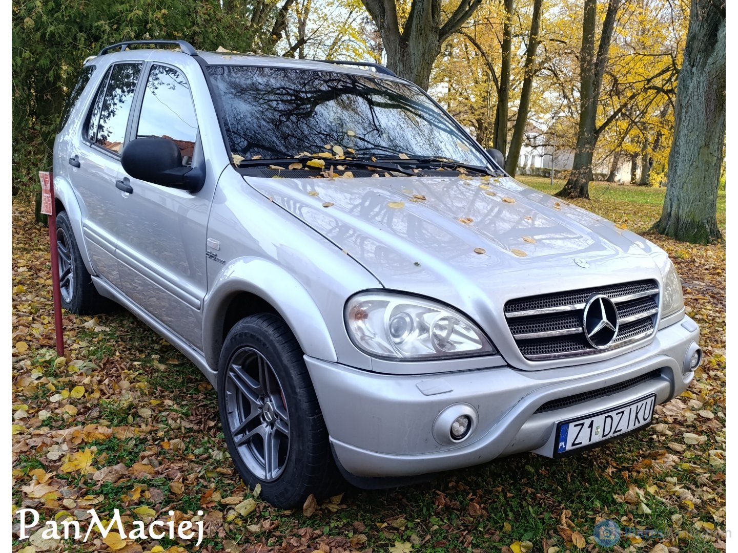 Z1 DZIKU, Mercedes-Benz M-Klasse 1st gen (W163), 1997–2005