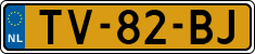 License plate of the Netherlands, Cars