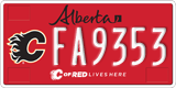 Alberta, Calgary Flames (FA1234)