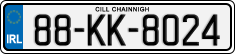 License plate of Ireland, Regular plates