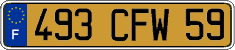 French license plate, FNI