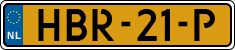 HBR-21-P