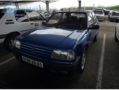 8705 XD 01, Peugeot 309