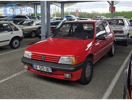 GF-529-QD, Peugeot 205