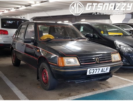 G377 ALF, Peugeot 205