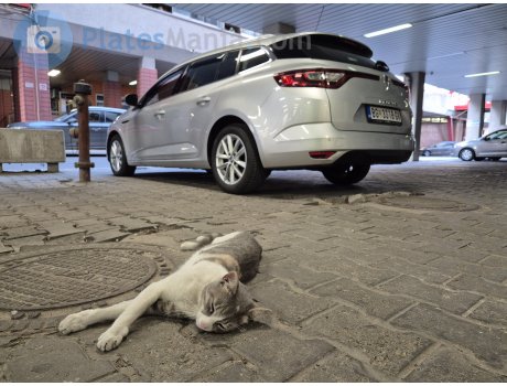 BG 3018-GV, Renault Mégane