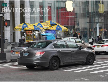 0043 CCD, Honda Accord