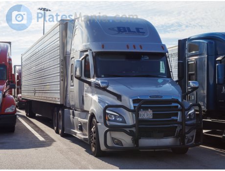 81K R1S, Freightliner Cascadia