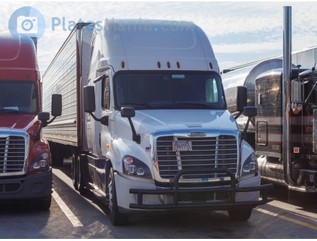 P869955, Freightliner Cascadia