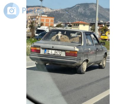 09 L 6479, Renault 9