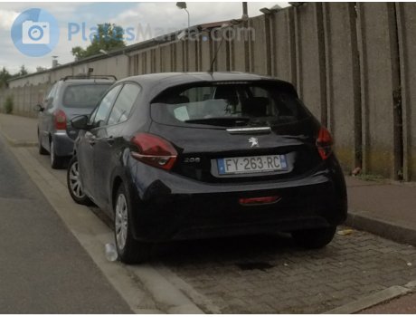 FY-263-RC, Peugeot 208