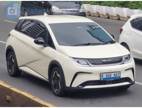 B 808 NAT, BYD Dolphin / Haitun