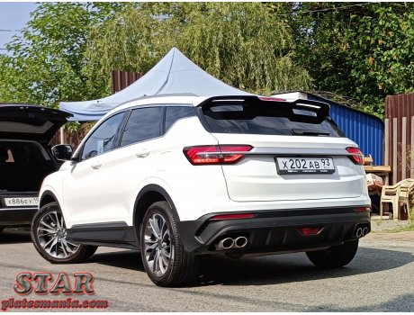 х202ав93, BelGee X50