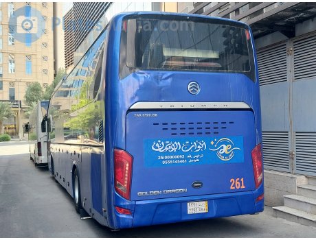 ‎٢٢٩١‎ ‎أ ر د‎ / 2291 DRA, Golden Dragon XML6122