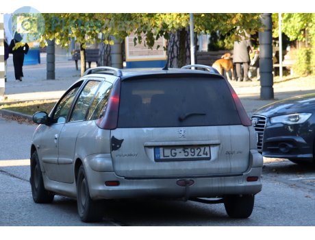 LG-5924, Peugeot 206