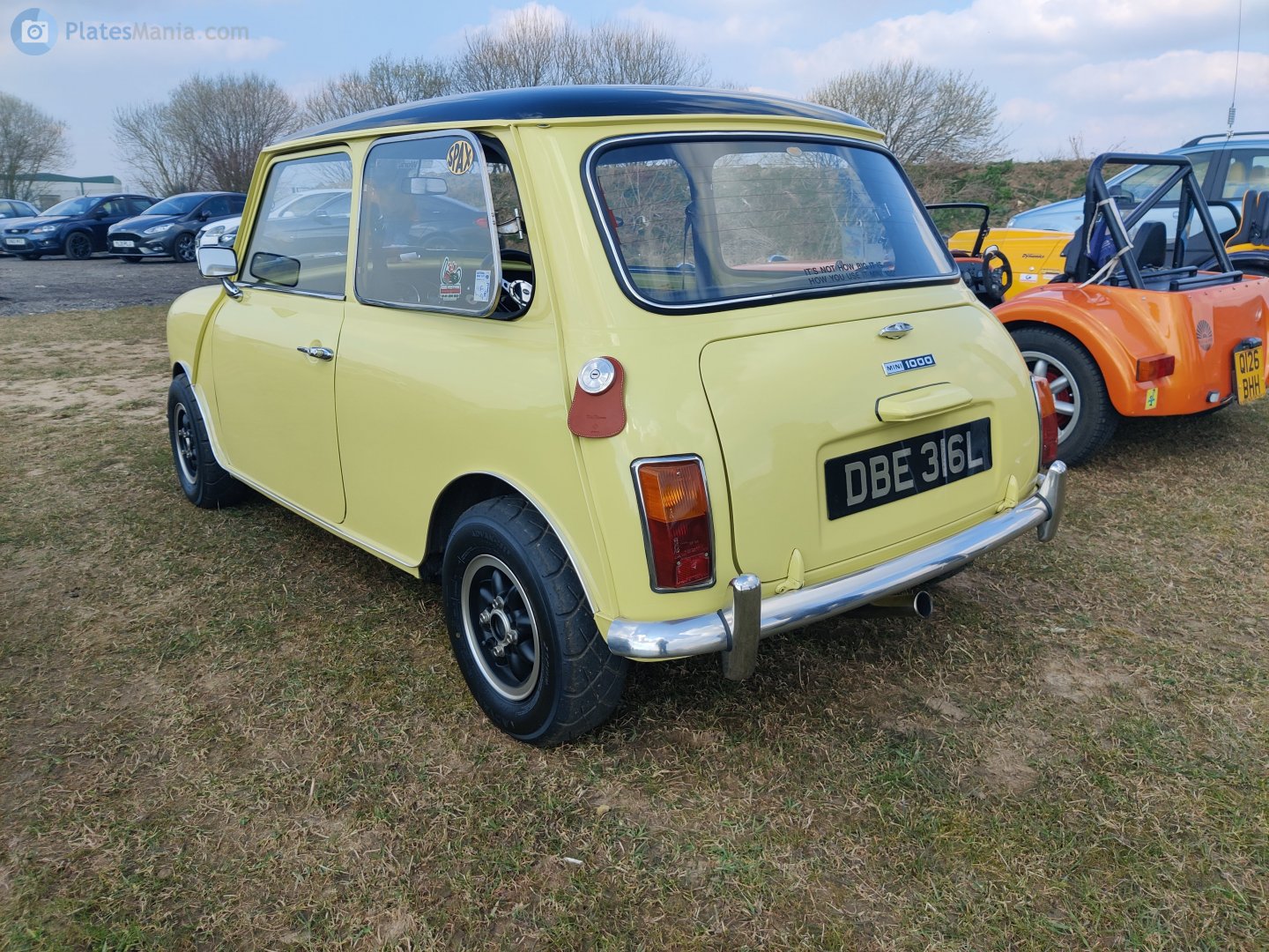 DBE316L, MINI Classic 