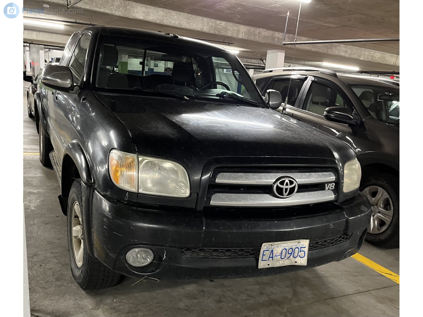 EA-0905, Toyota Tundra 1st gen (XK30/XK40), 2000–2006