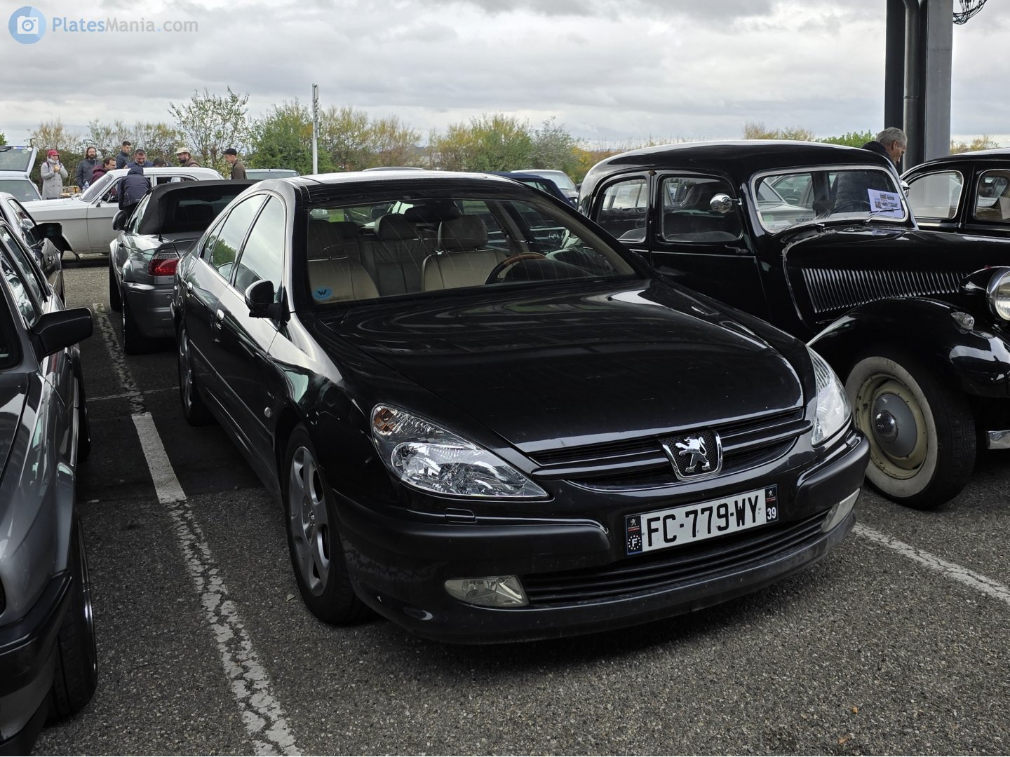 FC-779-WY, Peugeot 607 1st gen (Z8/Z9), 1999–2010