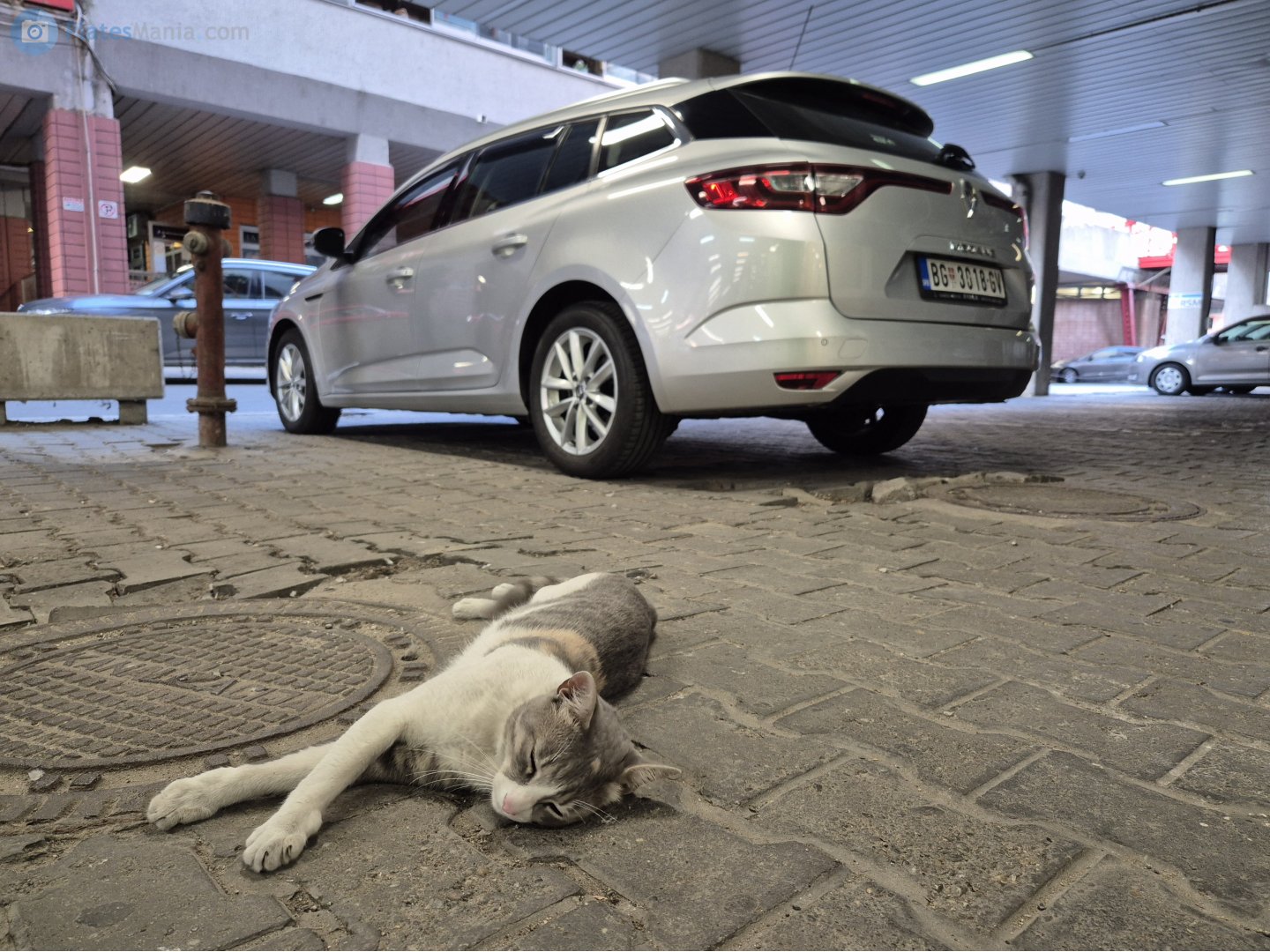 BG 3018-GV, Renault Mégane 4th gen Estate Wagon (KFB), 2016–