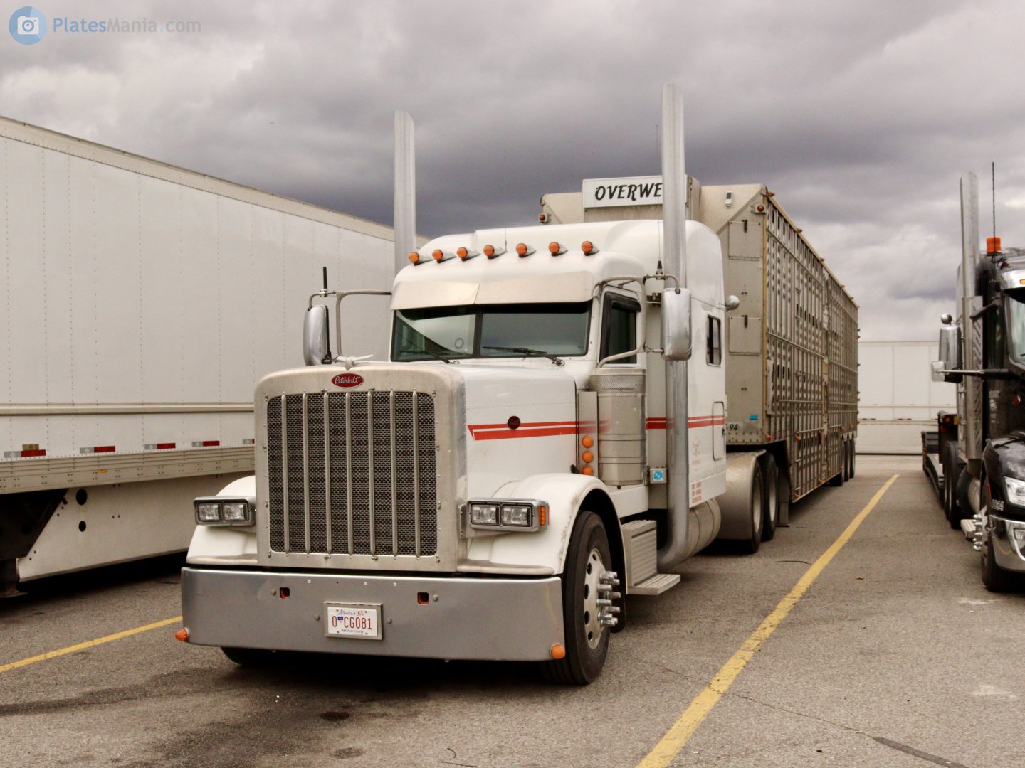 0-CG801, Peterbilt 379 