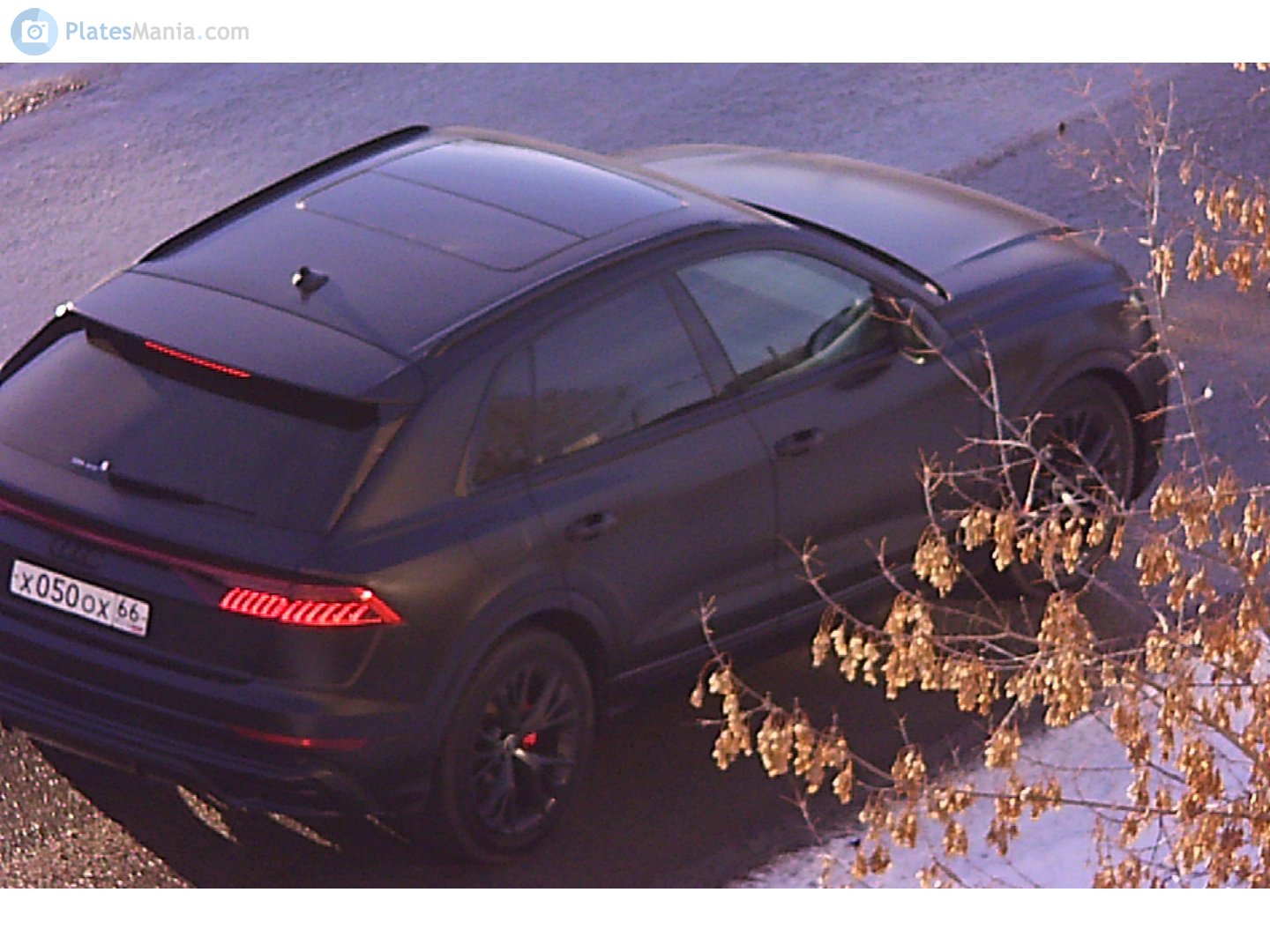 х 050 ох 66, Audi Q8 