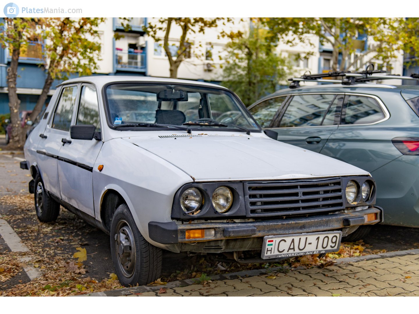 CAU-109, Dacia 1310 1st gen Sedan, 1982–1991