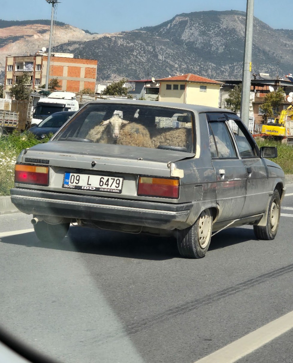 09 L 6479, Renault 9 1st gen (L42), 1981–1989
