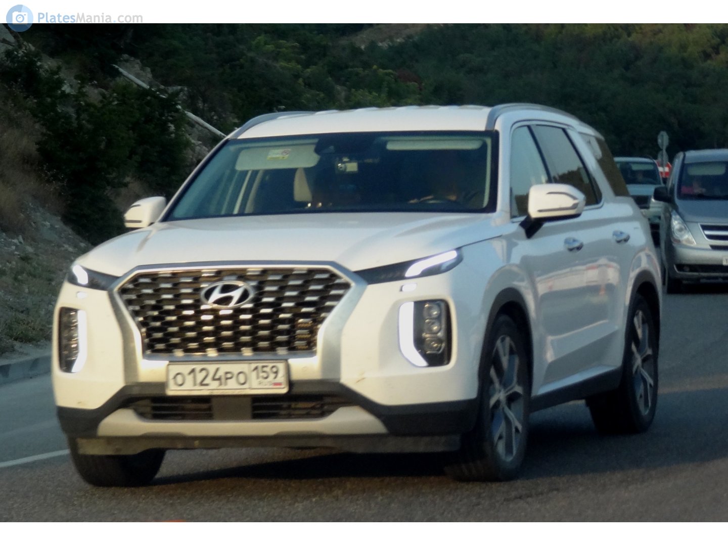 о 124 ро 159, Hyundai Palisade 1st gen (LX2), 2019–2022