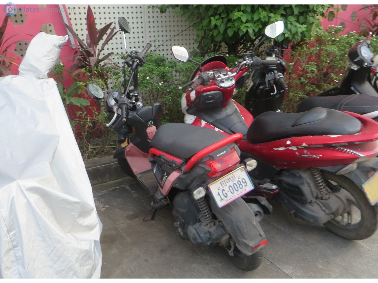 1G-0089, Honda Zoomer 