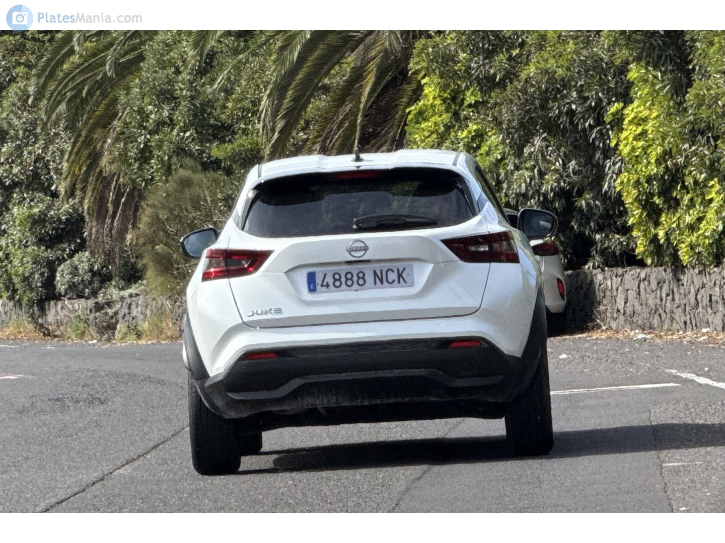 4888 NCK, Nissan Juke 2nd gen (F16), 2019–