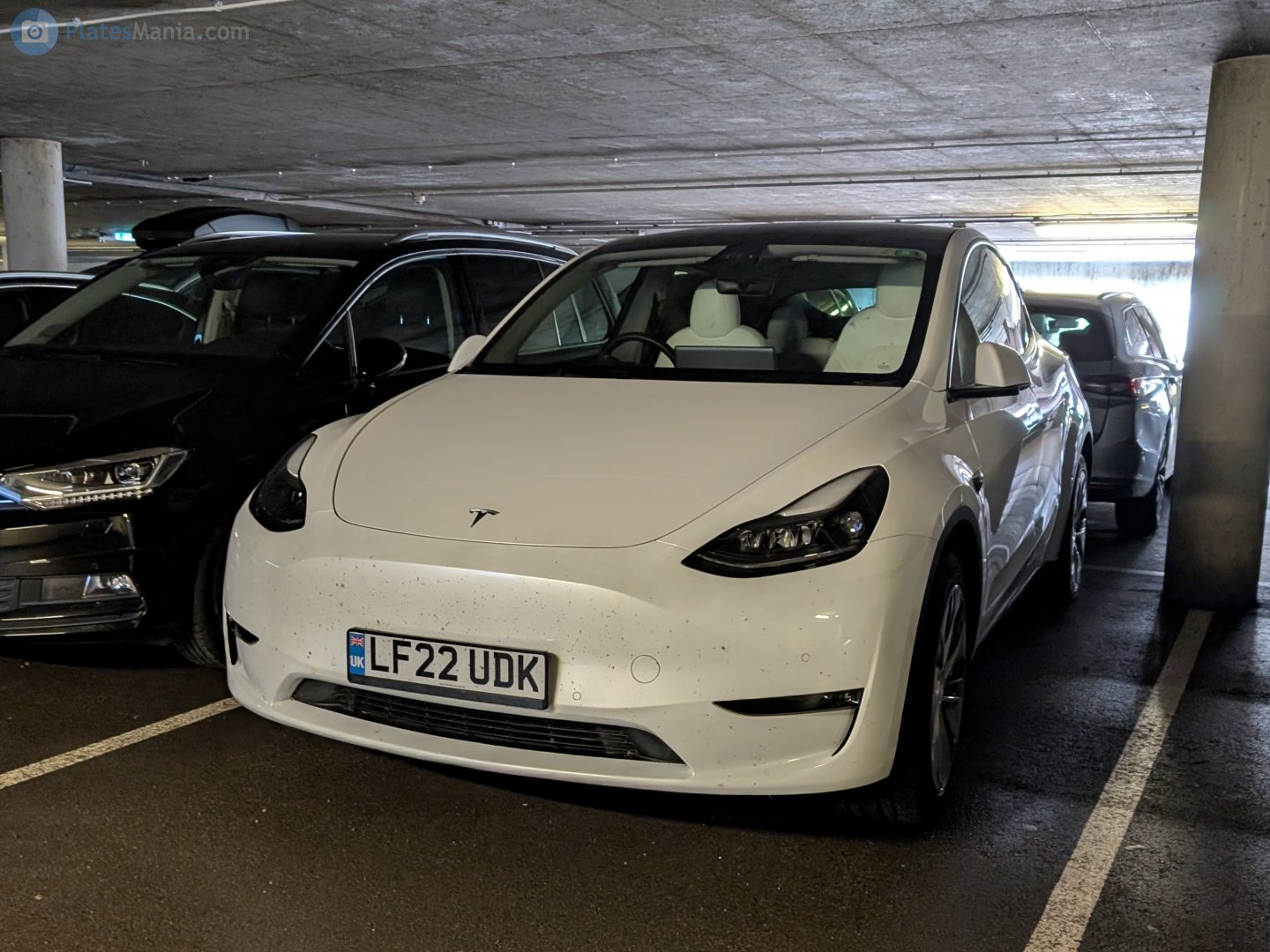 LF22UDK, Tesla Model Y 1st gen (5YJY), 2020–2025