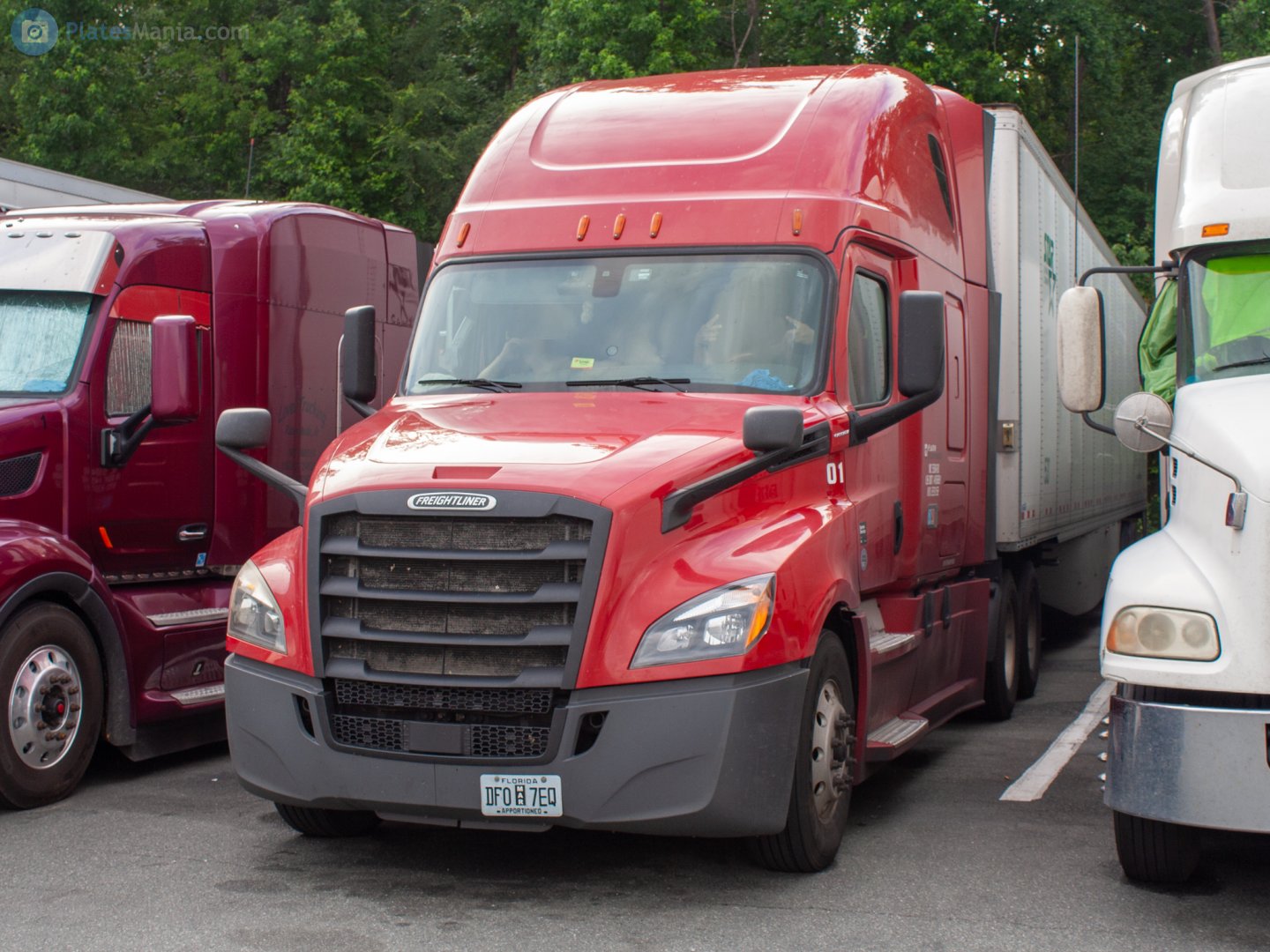 DF0 7EQ, Freightliner Cascadia 3rd/4th gen New Cascadia (2017–)
