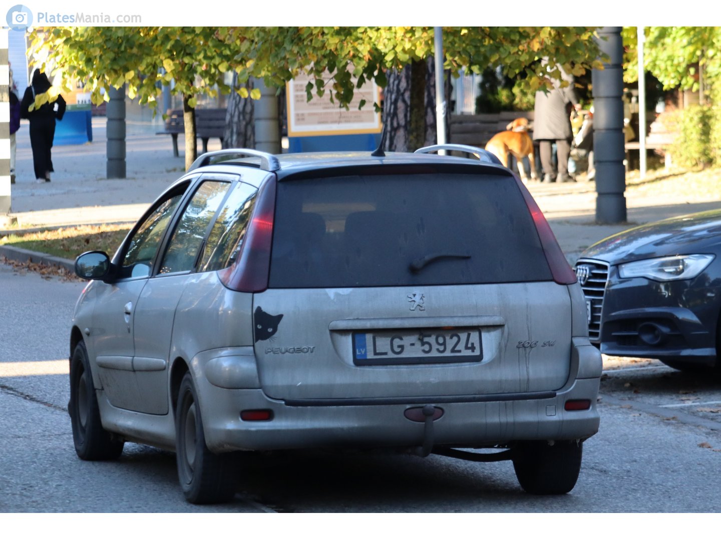 LG-5924, Peugeot 206 1st gen SW Wagon (T12), 2002–2006 (–2010 for LATAM-market)