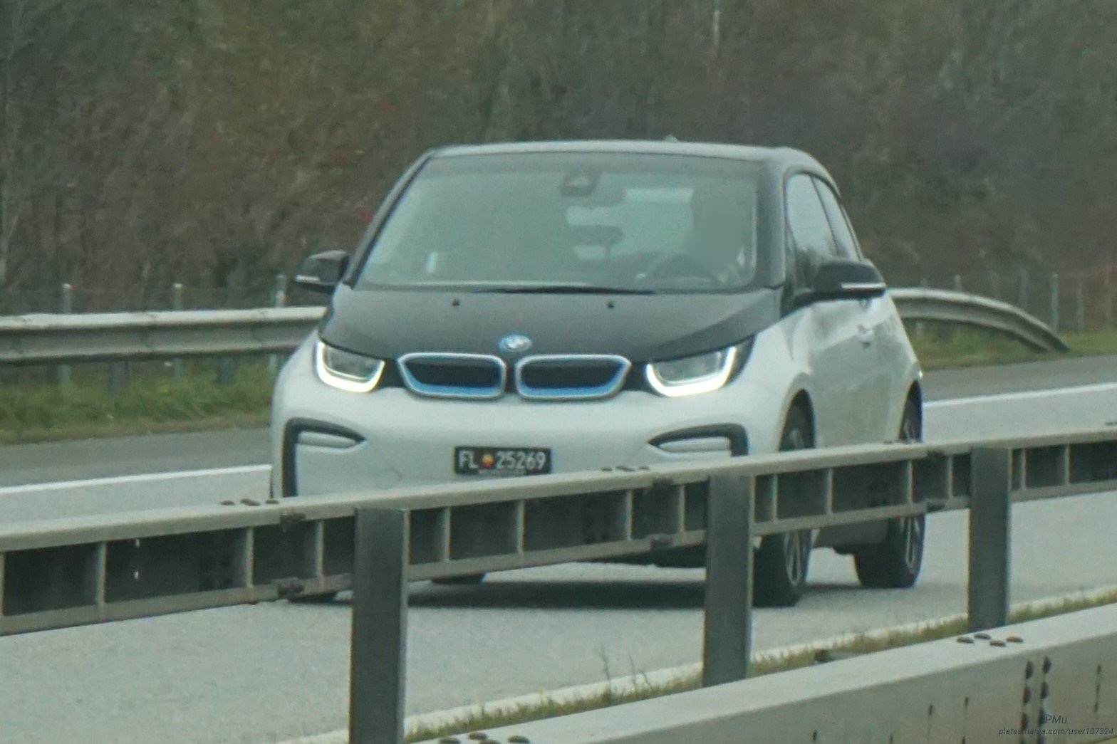 FL 25269, BMW i3 1st gen (I01), 2013–2017