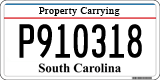 South Carolina, Property Carrying (P123456)