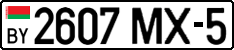License plate Belarus, Cars (2004)