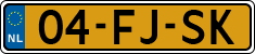 License plate of the Netherlands, Cars