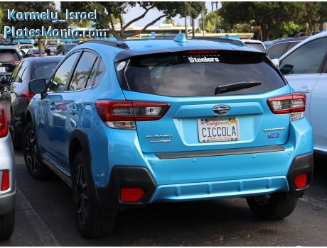 CICCOLA, Subaru Crosstrek