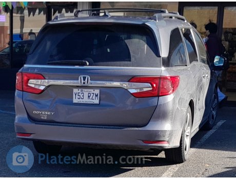 Y53 RZM, Honda Odyssey