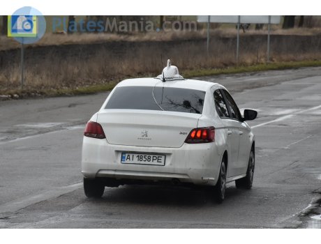 AI 1858 PE, Peugeot 301