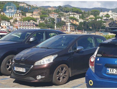 CN-231-ZS, Peugeot 208