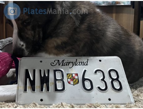 NWB 638, License plate without vehicle