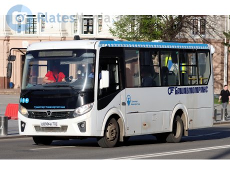 е899мк702, PAZ 3203/3204