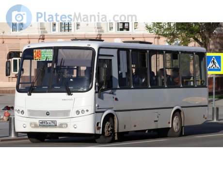 м893ка702, PAZ 3203/3204