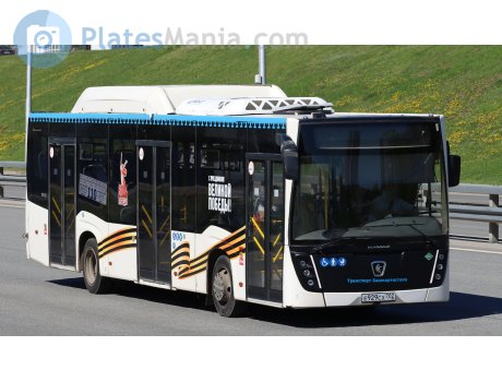 е929сх702, NefAZ (NZAS) 5299