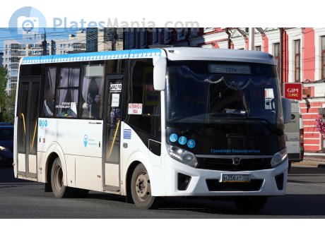 н356ут702, PAZ 3203/3204