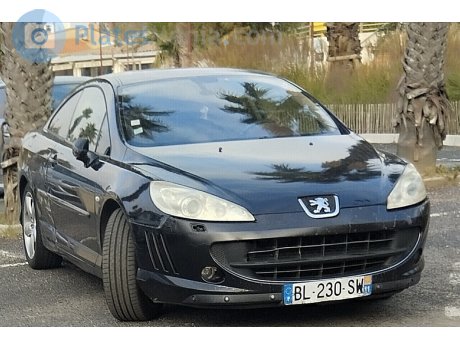 BL-230-SW, Peugeot 407