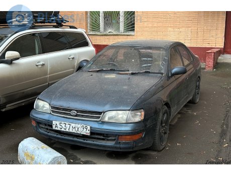 а537мх99, Toyota Corona