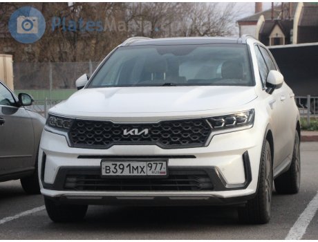 в391мх977, Kia Sorento